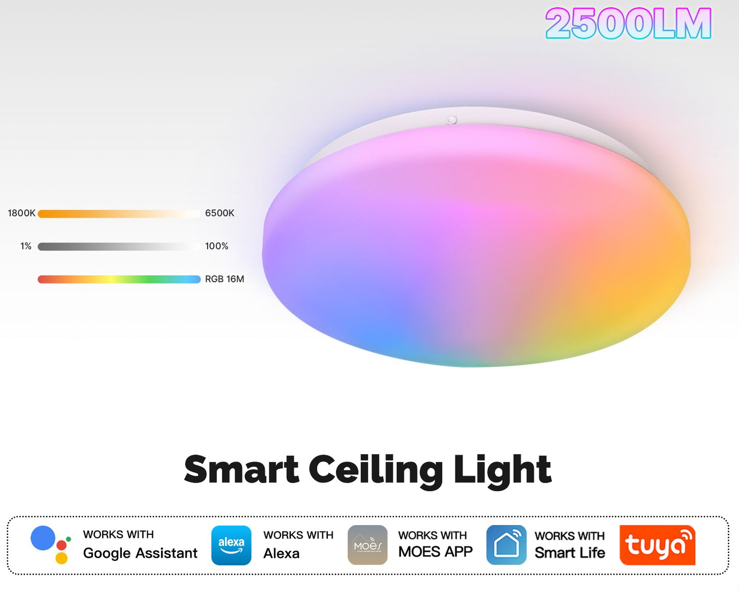 Smart Ceiling Light