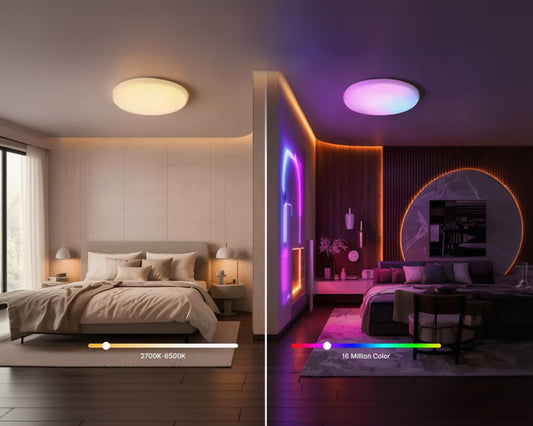 Smart Ceiling Light