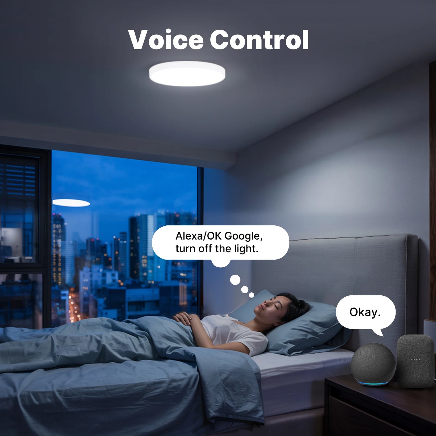 Smart Ceiling Light