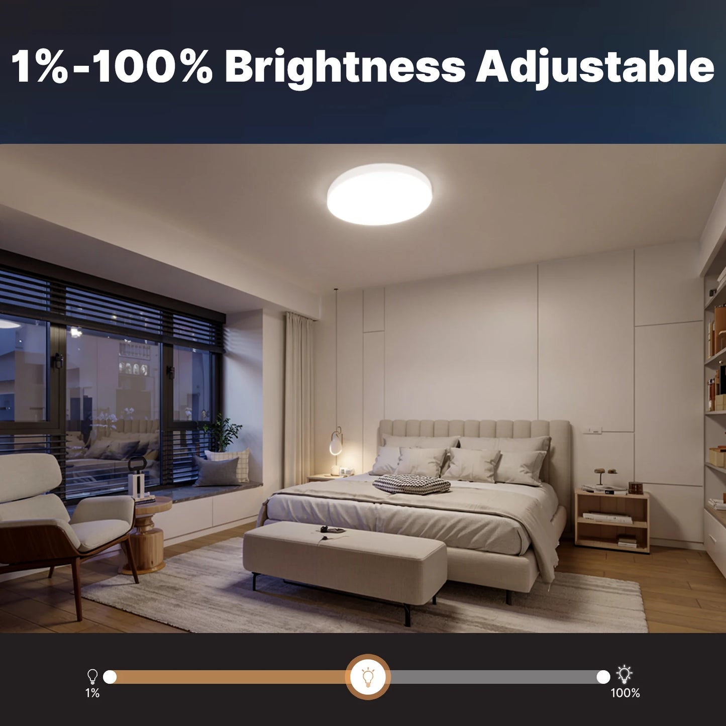 Smart Ceiling Light